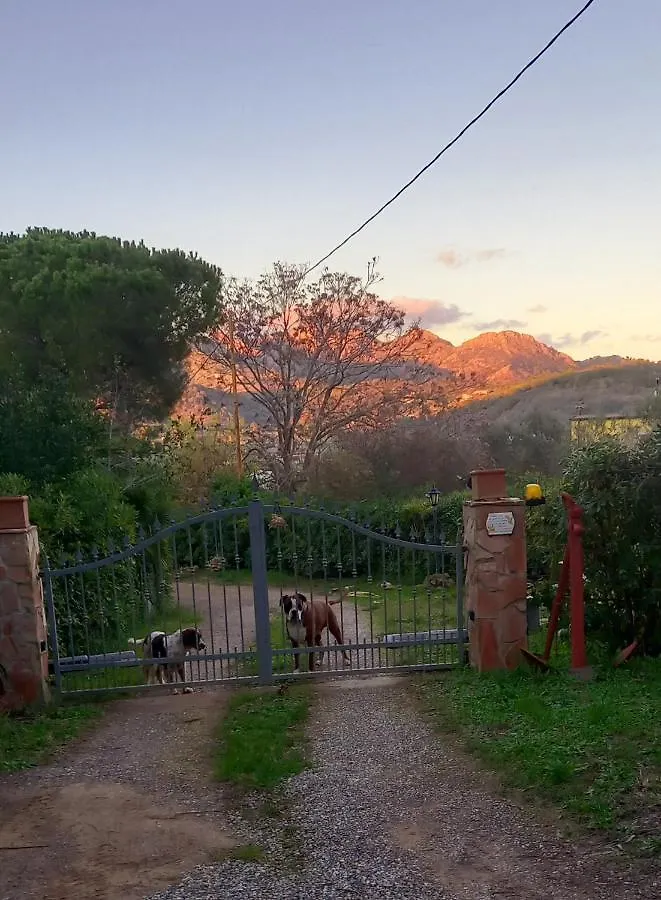 Le Case Del Riccio - Isola D'Elba Capoliveri  Capoliveri (Isola d'Elba)