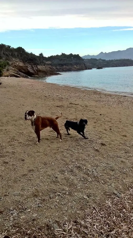 Le Case Del Riccio - Isola D'Elba Capoliveri  Italy